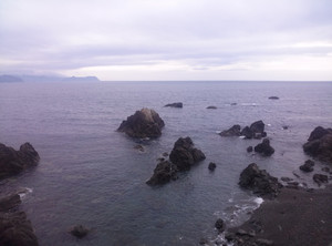 Img01773